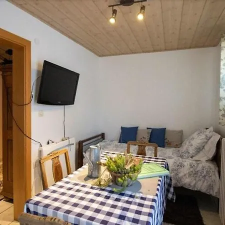 Apartment Flat In Morschwiller