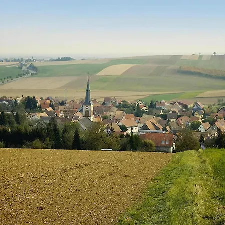 Flat In Morschwiller