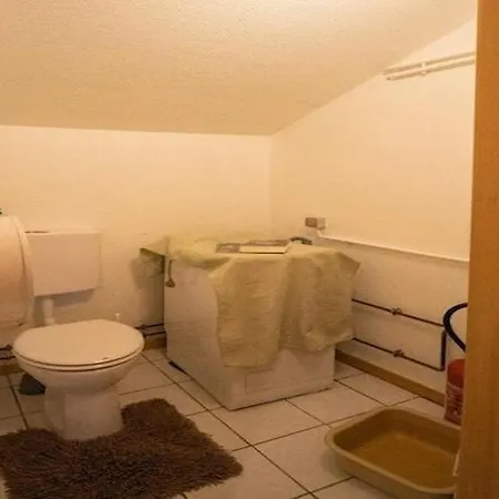 شقة Flat In Morschwiller