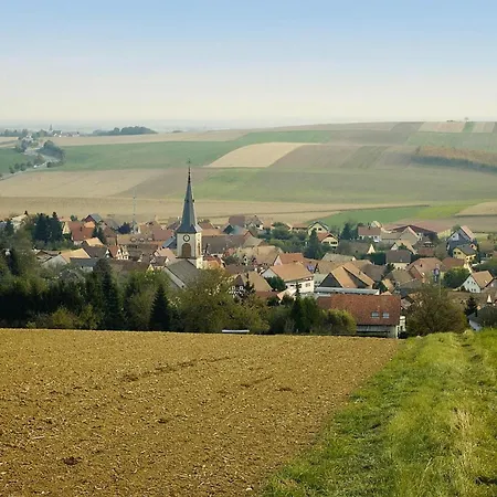 Flat In Morschwiller